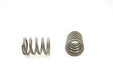 Engine Valve Spring Pioneer RV-1050