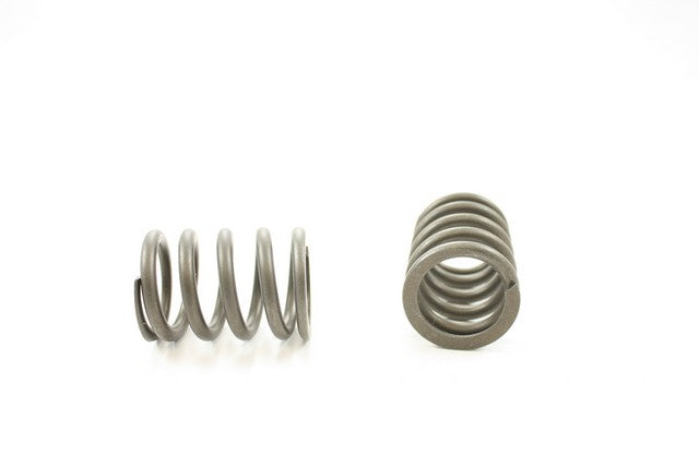 Engine Valve Spring Pioneer RV-1050
