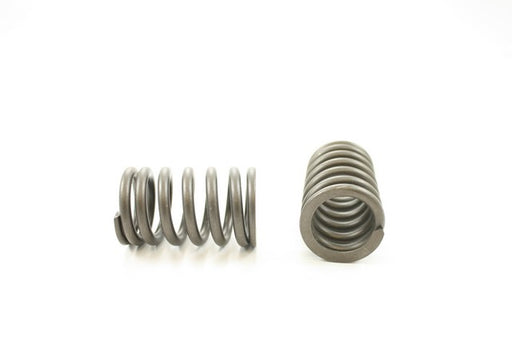 Engine Valve Spring Pioneer RV-1051