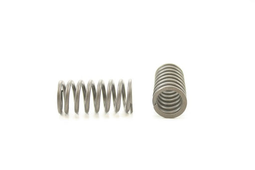 Engine Valve Spring Pioneer RV-1052