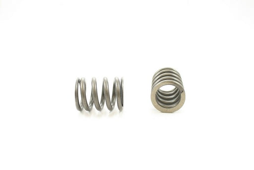 Engine Valve Spring Pioneer RV-1053