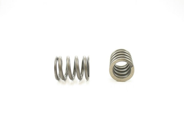 Engine Valve Spring Pioneer RV-1053