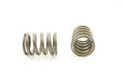 Engine Valve Spring Pioneer RV-1061