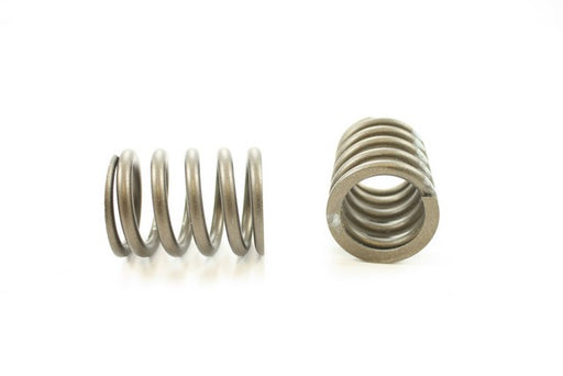 Engine Valve Spring Pioneer RV-1061