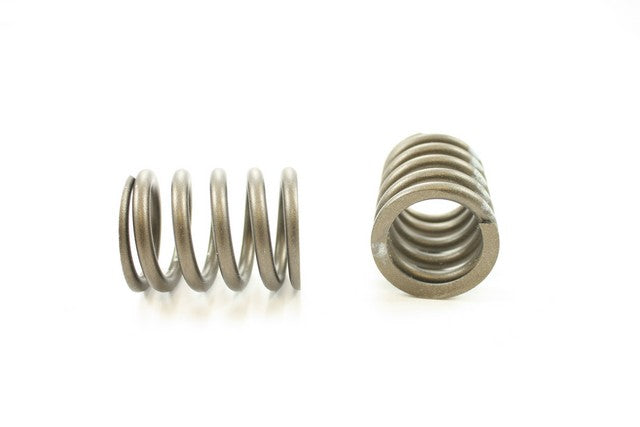 Engine Valve Spring Pioneer RV-1061