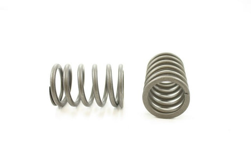 Engine Valve Spring Pioneer RV-1066