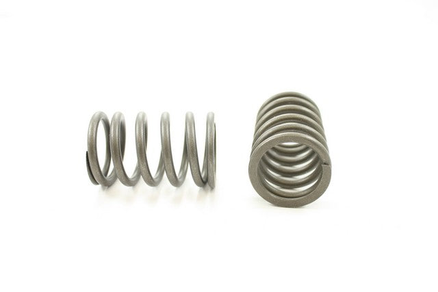 Engine Valve Spring Pioneer RV-1066