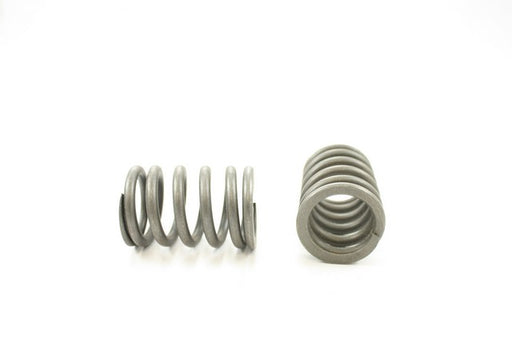 Engine Valve Spring Pioneer RV-1070
