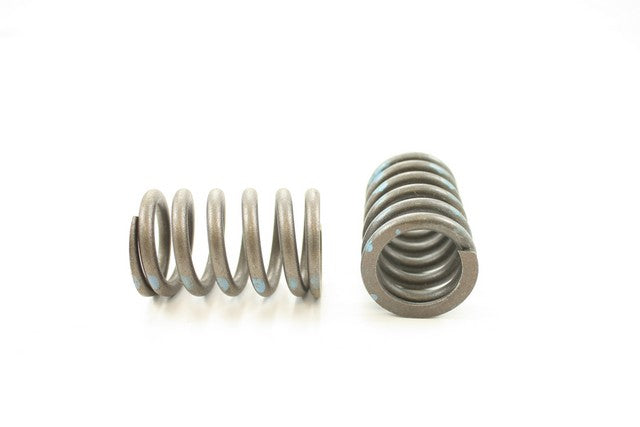 Engine Valve Spring Pioneer RV-1071