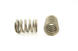 Engine Valve Spring Pioneer RV-1082