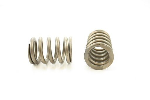 Engine Valve Spring Pioneer RV-1082