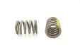 Engine Valve Spring Pioneer RV-1086