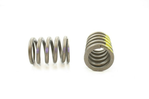 Engine Valve Spring Pioneer RV-1086