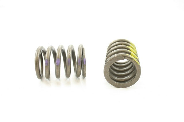 Engine Valve Spring Pioneer RV-1086