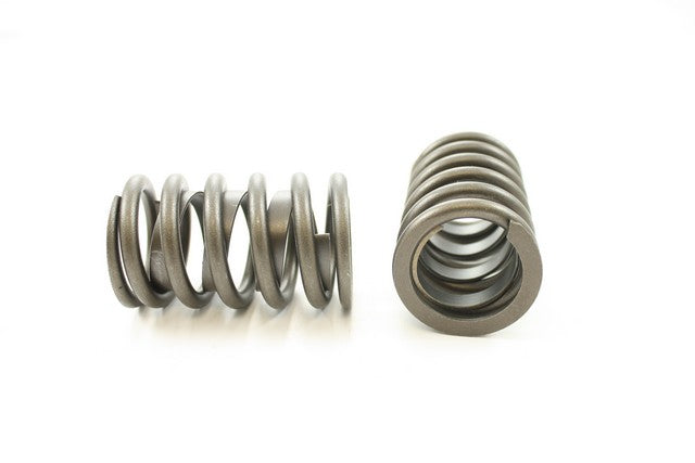 Engine Valve Spring Pioneer RV-1088-X