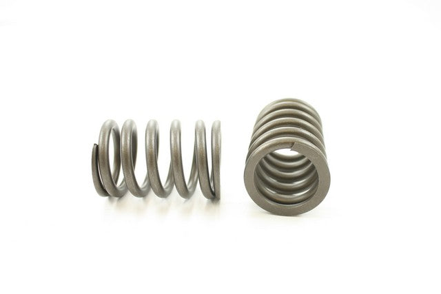 Engine Valve Spring Pioneer RV-1094