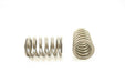 Engine Valve Spring Pioneer RV-1096