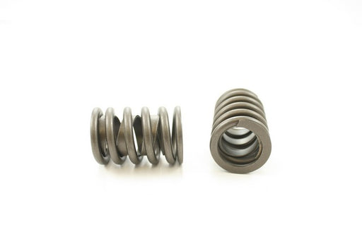 Engine Valve Spring Pioneer RV-1101-X