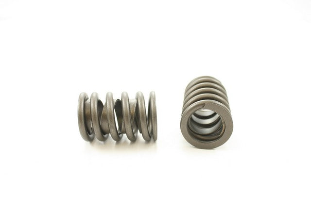 Engine Valve Spring Pioneer RV-1101-X
