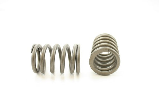 Engine Valve Spring Pioneer RV-1105
