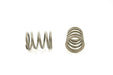 Engine Valve Spring Pioneer RV-1106