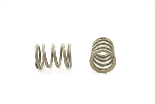Engine Valve Spring Pioneer RV-1106