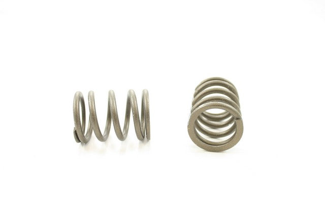 Engine Valve Spring Pioneer RV-1106