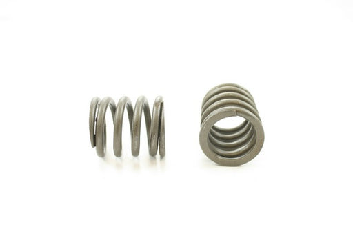 Engine Valve Spring Pioneer RV-1114