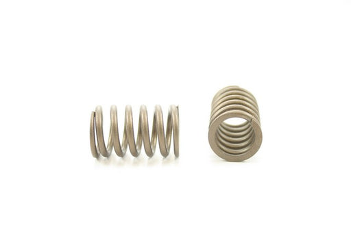 Engine Valve Spring Pioneer RV-1115