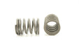 Engine Valve Spring Pioneer RV-1123
