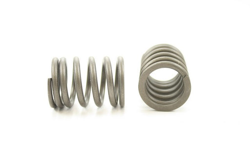 Engine Valve Spring Pioneer RV-1123