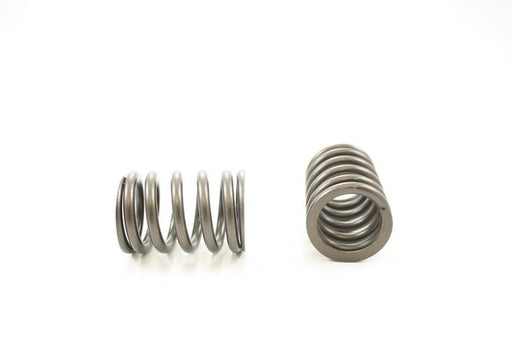 Engine Valve Spring Pioneer RV-1125