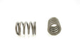 Engine Valve Spring Pioneer RV-1126