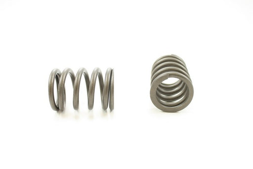 Engine Valve Spring Pioneer RV-1126