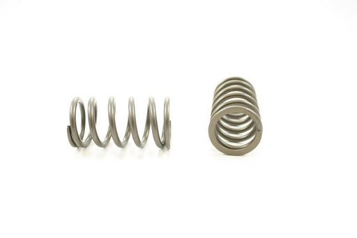 Engine Valve Spring Pioneer RV-1128