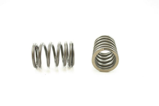 Engine Valve Spring Pioneer RV-1129