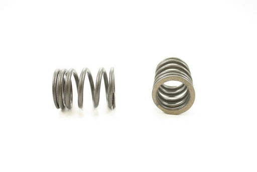 Engine Valve Spring Pioneer RV-1130