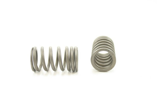 Engine Valve Spring Pioneer RV-1131
