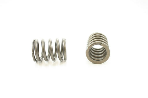 Engine Valve Spring Pioneer RV-1135