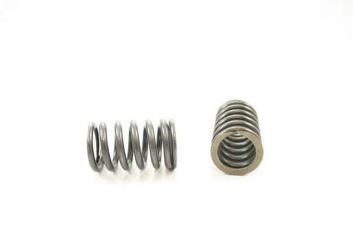 Engine Valve Spring Pioneer RV-1136