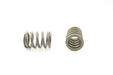 Engine Valve Spring Pioneer RV-1137