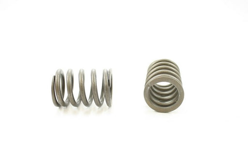 Engine Valve Spring Pioneer RV-1137