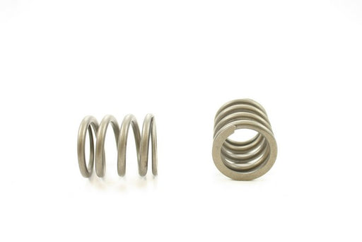 Engine Valve Spring Pioneer RV-1140