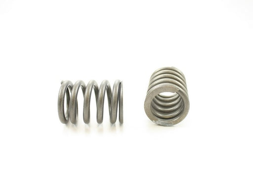 Engine Valve Spring Pioneer RV-1149