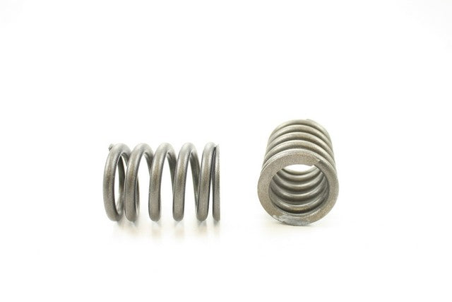 Engine Valve Spring Pioneer RV-1149