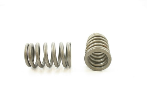 Engine Valve Spring Pioneer RV-1170