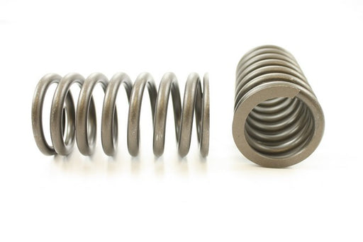 Engine Valve Spring Pioneer RV-1171
