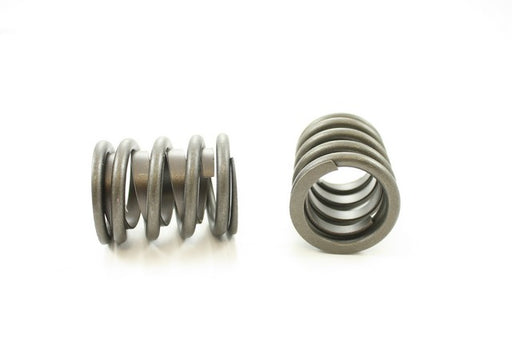 Engine Valve Spring Pioneer RV-1174-X