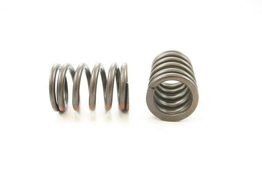 Engine Valve Spring Pioneer RV-1175
