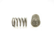 Engine Valve Spring Pioneer RV-1193